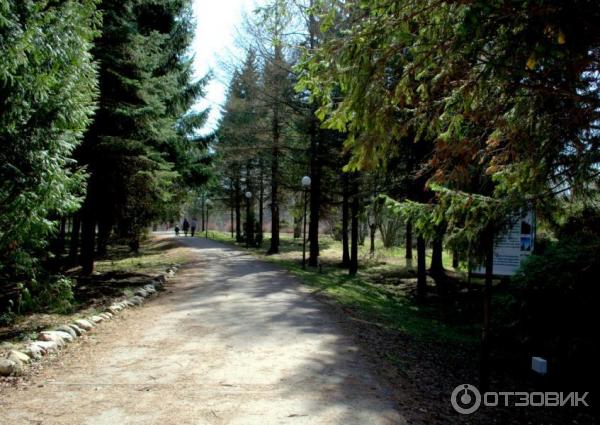 Дендрологический парк (Россия, Переславль-Залесский) фото