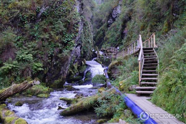 Турбаза Эстюба (Россия, Горный Алтай) фото