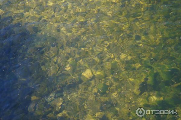 Турбаза Эстюба (Россия, Горный Алтай) фото