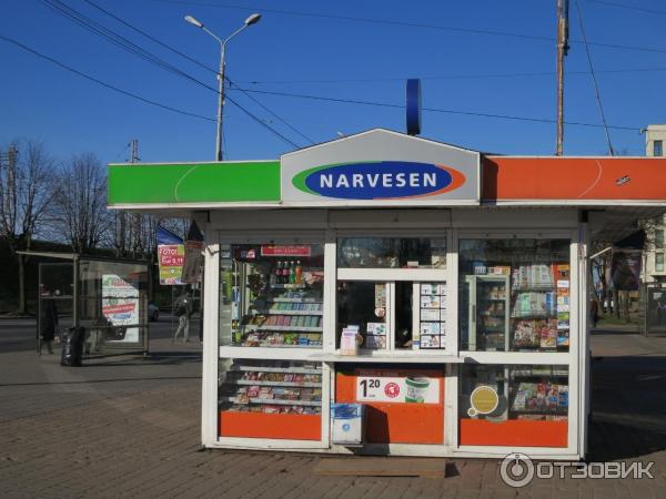 Общественный транспорт в Риге (Латвия) фото