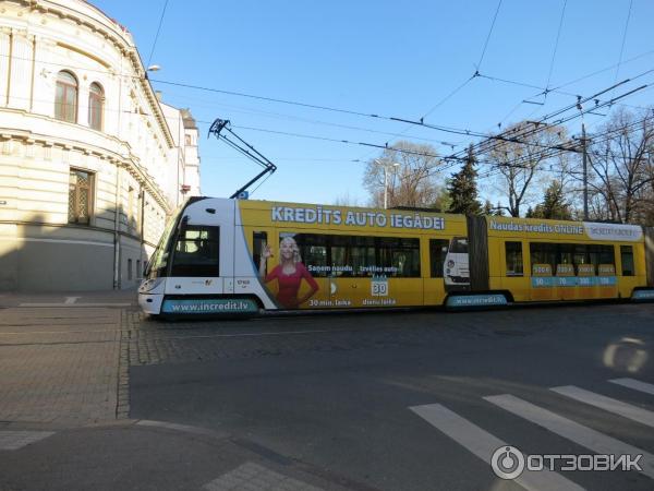 Общественный транспорт в Риге (Латвия) фото