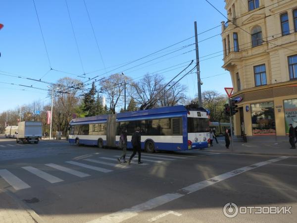 Общественный транспорт в Риге (Латвия) фото