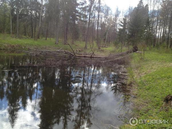 Усадьба Знаменское-Раек (Россия, Тверская область) фото