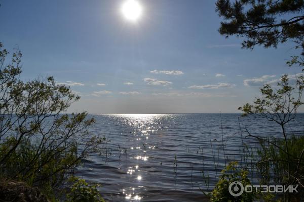 весна киевское море