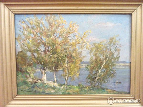 Музей П. Н. Крылова (Россия, Тула) фото