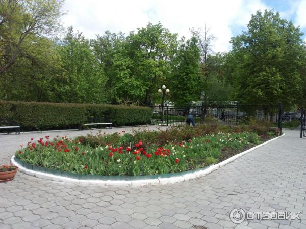 Музей П. Н. Крылова (Россия, Тула) фото