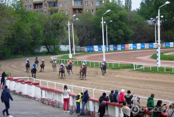 Дни Франции в России на Центральном Московском ипподроме (Россия, Москва) фото