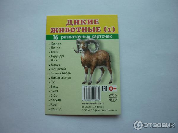 Раздаточные карточки Сфера фото