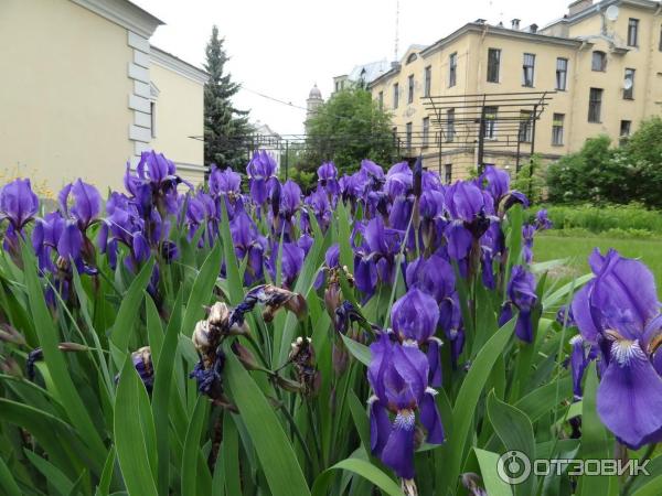 Ботанический сад БИН РАН (Россия, Санкт-Петербург) фото