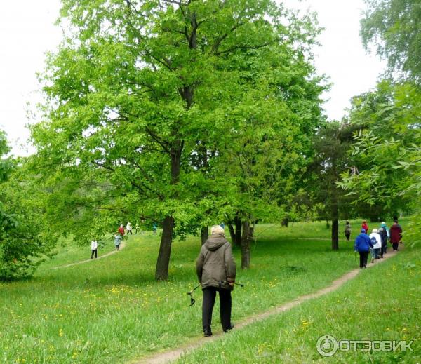 Мастер-класс по скандинавской ходьбе в парке Сад будущего (Россия, Москва) фото