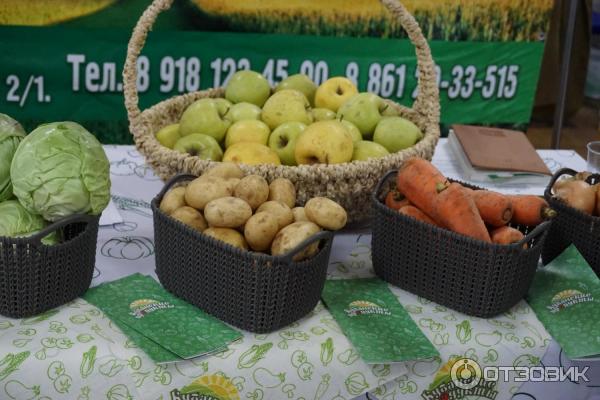 АгроТУР - 2017 - Кубанская выставка - ярмарка сельского (аграрного) туризма (Россия, Геленджик) фото