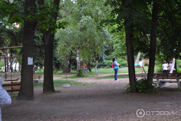 качеля тарзанка
