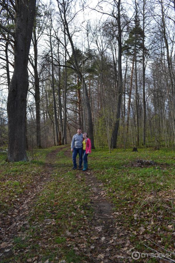 Усадьба купцов Ванюковых Каменка (Россия, Новгородская область) фото