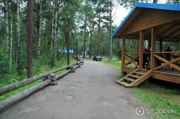 Кирочное подворье Загородная база (Россия, Ленинградская область) фото