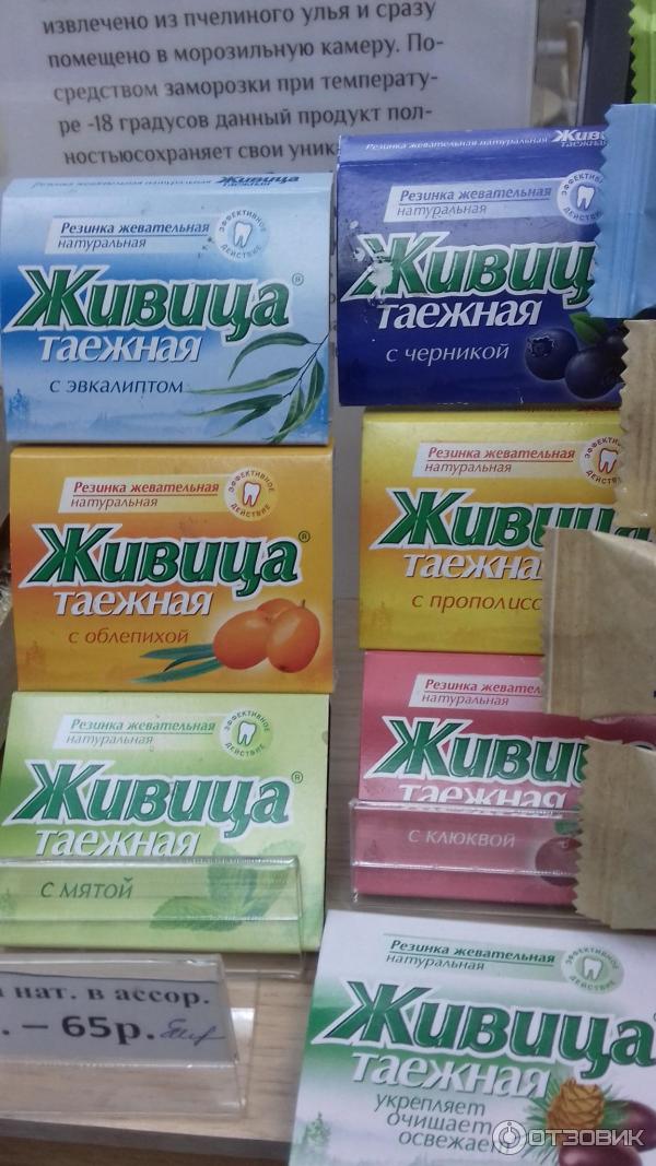 жвачка