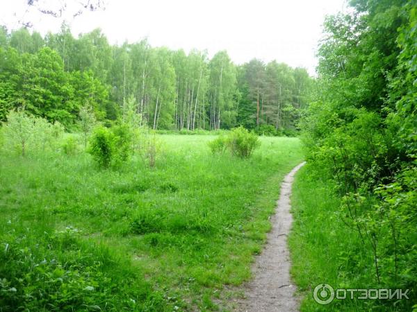 Национальный парк Лосиный Остров (Россия, Москва) фото