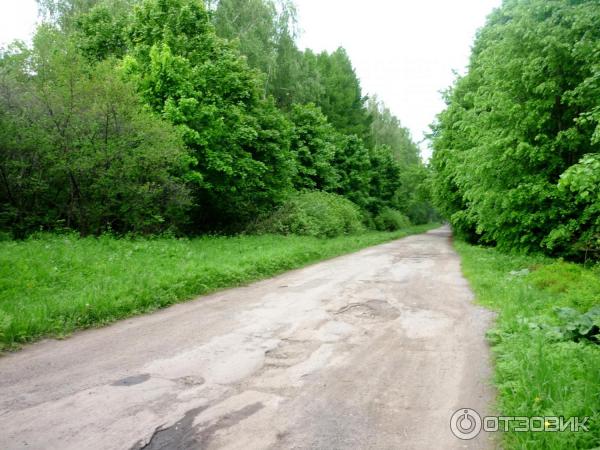 Национальный парк Лосиный Остров (Россия, Москва) фото