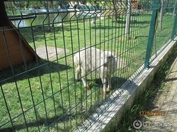 Экскурсия в Собор Цминда Самеба (Грузия, Тбилиси) фото