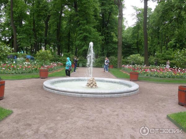 Ботанические экскурсии в Летнем саду (Россия, Санкт-Петербург) фото