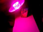 Светодиодная лампа Uniel LED для растений фото