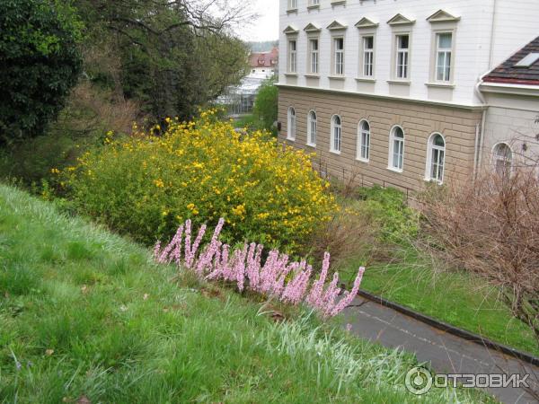 Ботанический сад (Чехия, Прага) фото