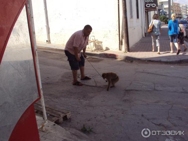 Экскурсия в г. Сусс (Тунис) фото