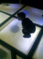 Океанариум "Морской аквариум на Чистых прудах" (Россия, Москва) фото