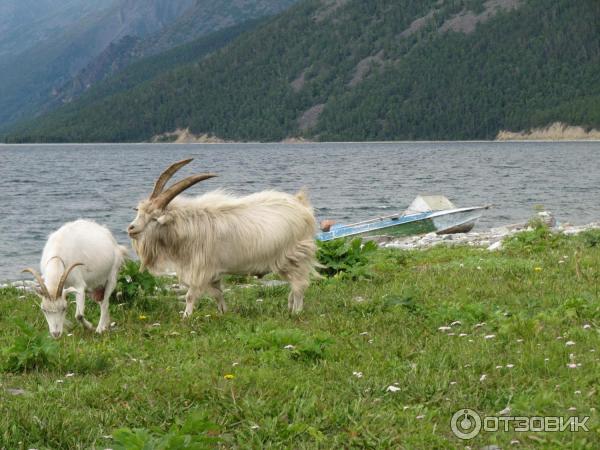 Отдых на озере Байкал (Россия, Иркутская область) фото