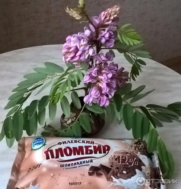 Пломбир шоколадный с кусочкми шоколада Филевский фото