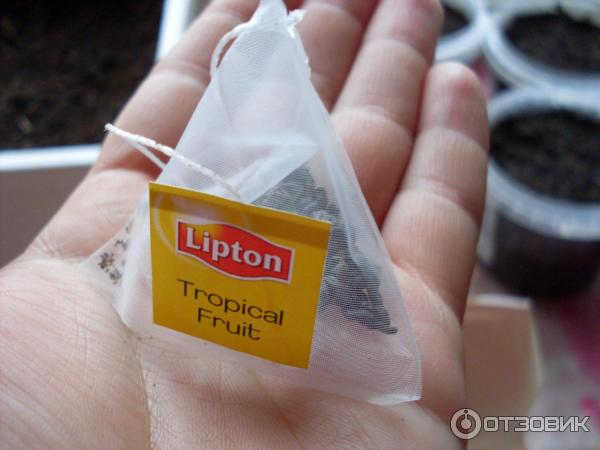 Чай черный Lipton в пирамидках фото