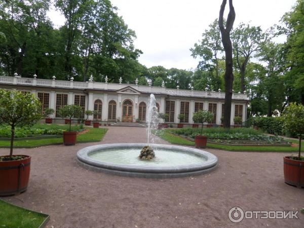 Ботанические экскурсии в Летнем саду (Россия, Санкт-Петербург) фото