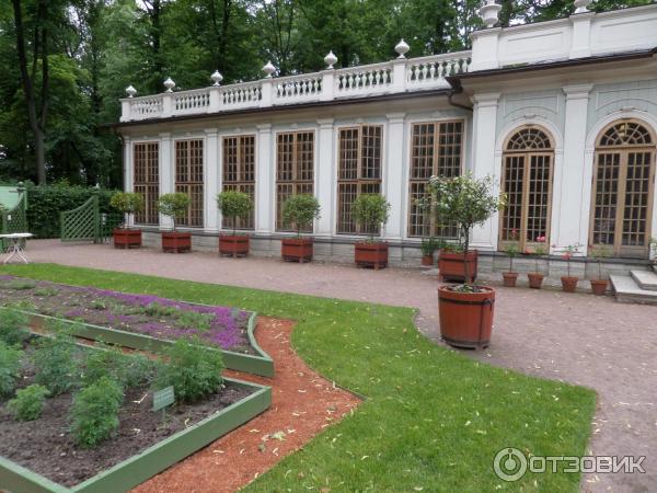 Ботанические экскурсии в Летнем саду (Россия, Санкт-Петербург) фото