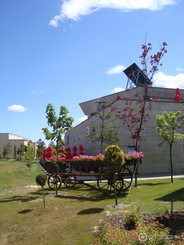 Парк развлечений Энерджиландия фото