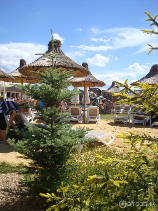 Парк развлечений Энерджиландия фото