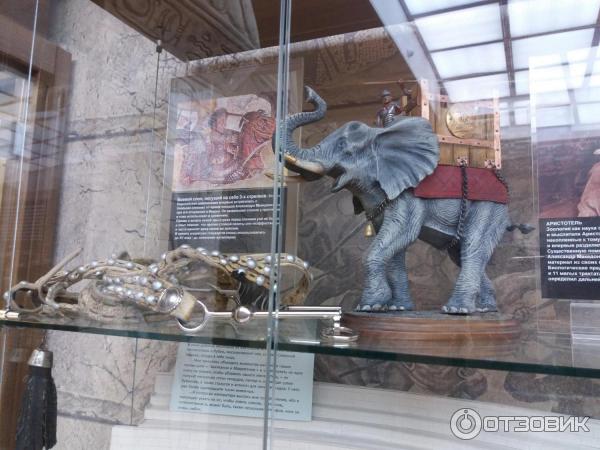 Музей Истории Зоопарка (Россия, Москва) фото