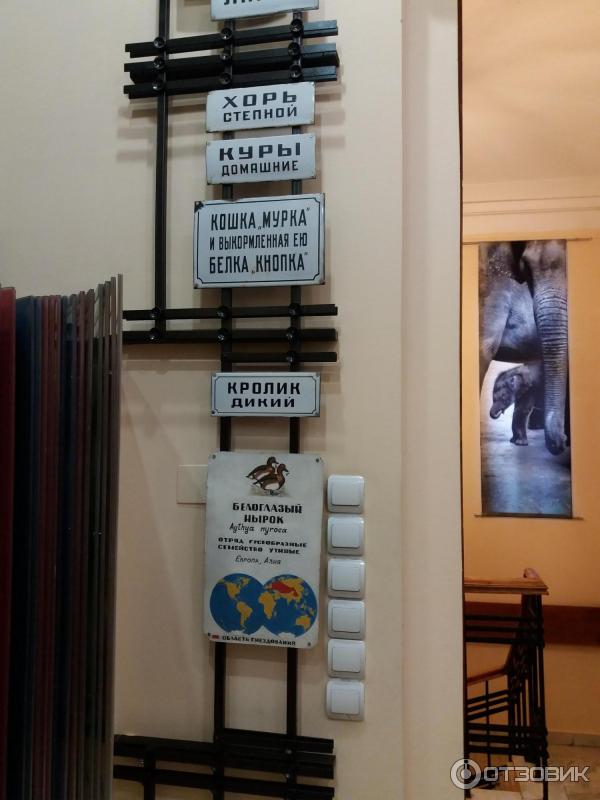 Музей Истории Зоопарка (Россия, Москва) фото