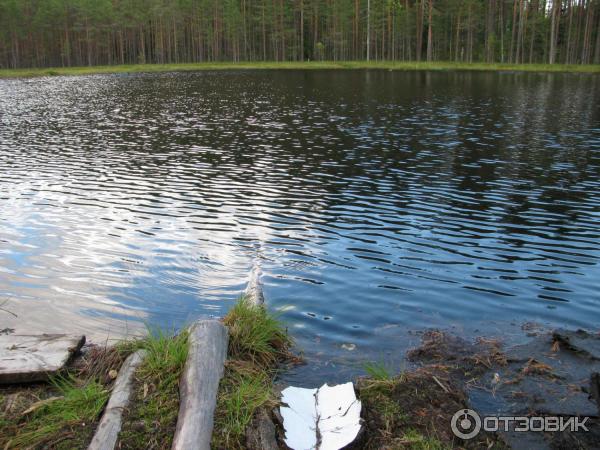 турбаза Нахимовская