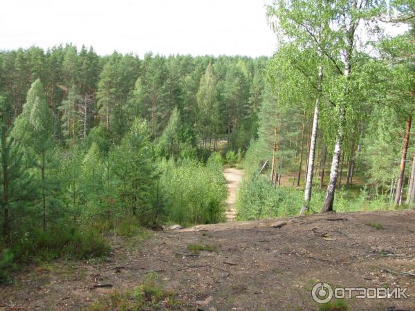 турбаза Нахимовская