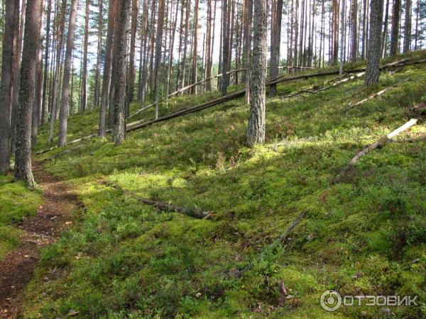 турбаза Нахимовская