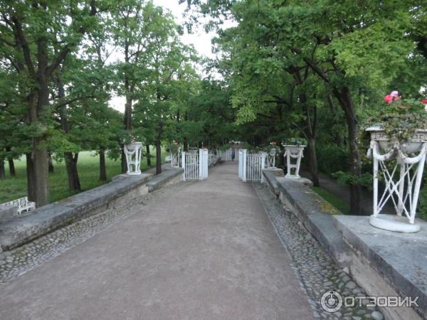 Выставка Царское Село. 1917. Накануне... фото