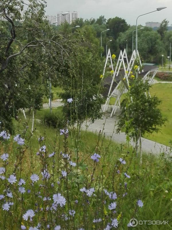 Пейзажи парка