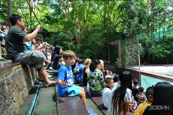 Зоопарк Khao Kheow Open Zoo (Тайланд, Паттайя) фото