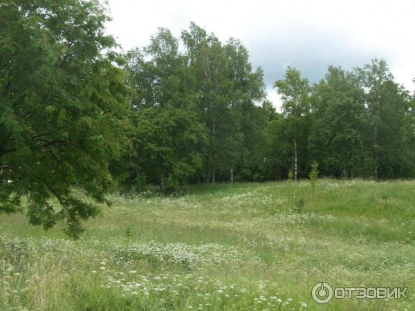 Приоратский дворец (Россия, Ленинградская область) фото