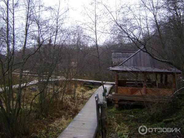Источник Гремячий ключ (Россия, Московская область) фото