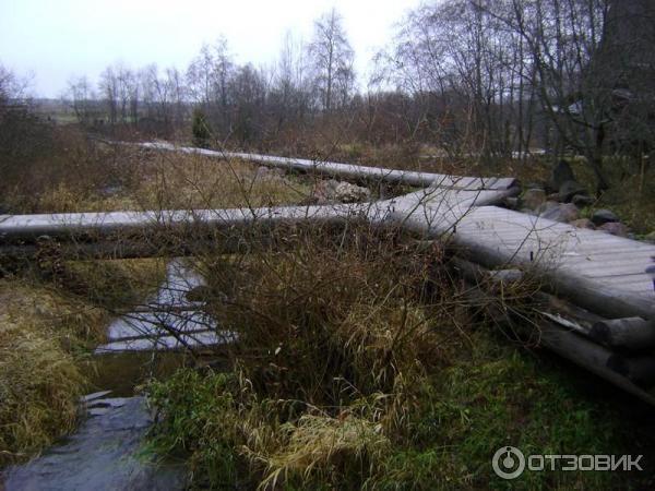 Источник Гремячий ключ (Россия, Московская область) фото
