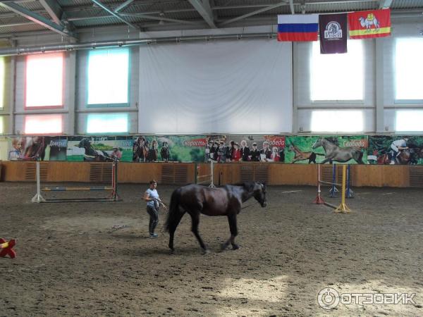 Конно-спортивный клуб Рифей фото