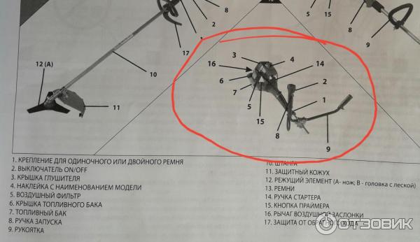 Мотокоса бензиномоторная oleo - Mac Sparta 25 фото