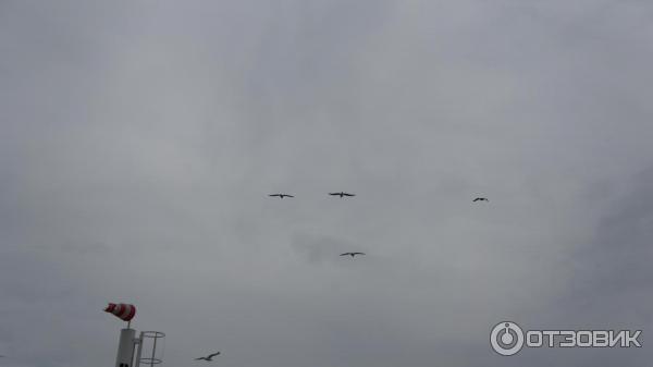Паромная переправа через Керченский пролив (Россия) фото