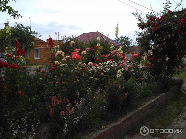 Отель Лиманский (Россия, Ейск) фото