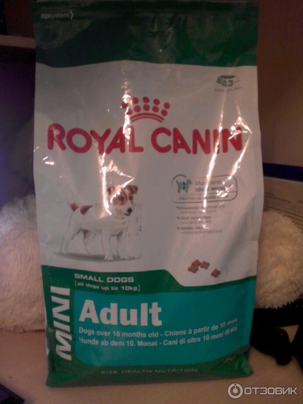 Сухой корм для собак Royal Canin Mini Adult фото